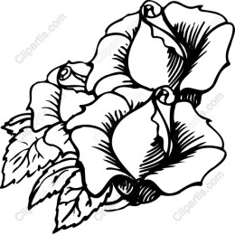 Elegant Rose