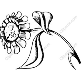 Whimsical Flower with Bee