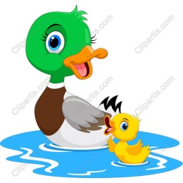 Charming Duck Duo