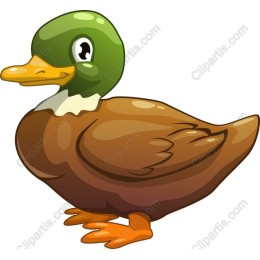 Cute Cartoon Duck