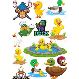 Duck Set - Playful Clipart Collection