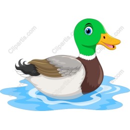 Charming Cartoon Duck