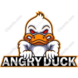 Angry Duck