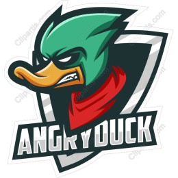 Angry Duck