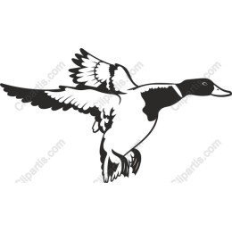 Elegant Flying Duck