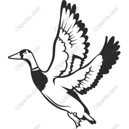 Flying Goose
