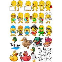 Quirky Duck Set