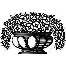 Elegant Floral Arrangement in Vase