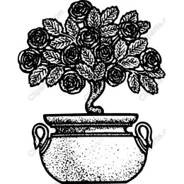 Elegant Potted Rose Bush