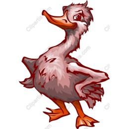 Charming Playful Duck
