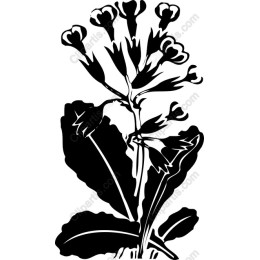 Elegant Floral