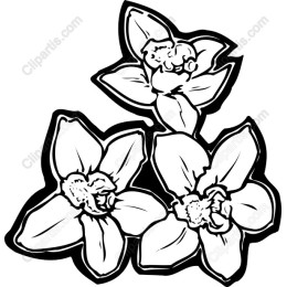 Elegant Floral