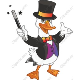 Whimsical Magician Duck