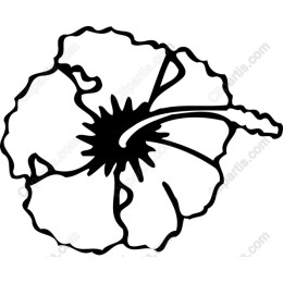 Hand-Drawn Hibiscus Flower