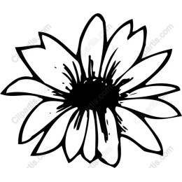 Black and White Flower