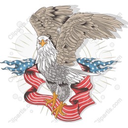 Majestic Bald Eagle