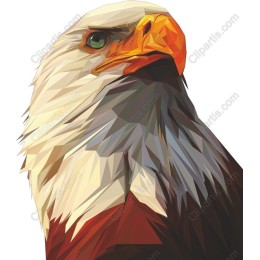 Majestic Bald Eagle