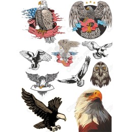 Majestic Eagle Bundle: Complete Clipart Set