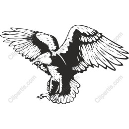 Majestic Eagle