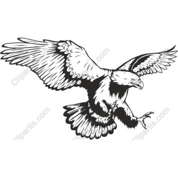 Majestic Eagle