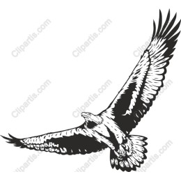Majestic Eagle