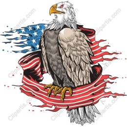 Patriotic Bald Eagle