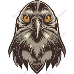 Majestic Eagle Head