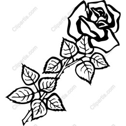 Elegant Floral Rose