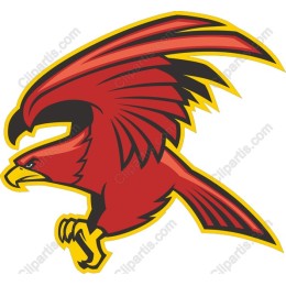 Dynamic Red Hawk