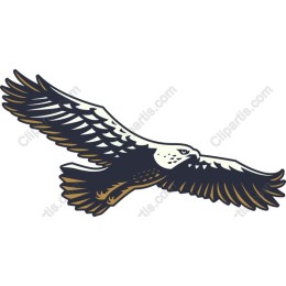 Majestic Eagle