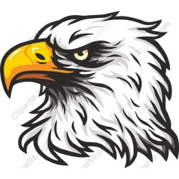 Fierce Eagle Head