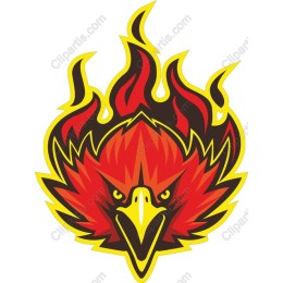 Fiery Phoenix Head