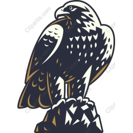 Majestic Hawk
