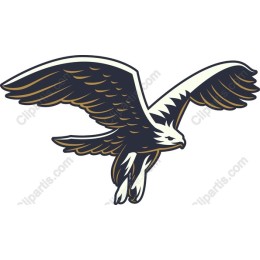 Majestic Soaring Eagle