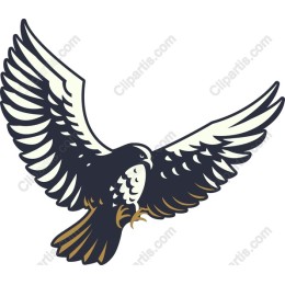 Majestic Hawk