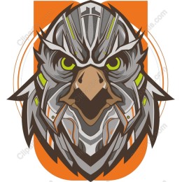 Fierce Eagle Head