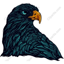 Majestic Eagle
