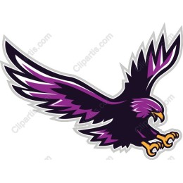 Dynamic Soaring Eagle