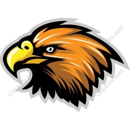 Majestic Eagle Head