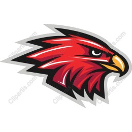 Fierce Hawk