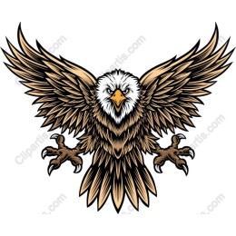 Majestic Eagle