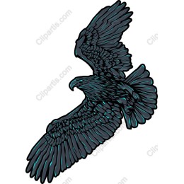 Majestic Black Hawk
