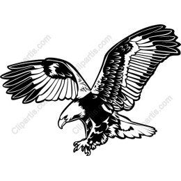 Majestic Eagle