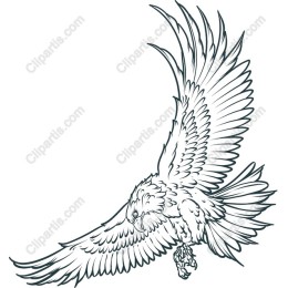 Majestic Soaring Eagle