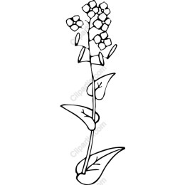 Elegant Black-and-White Flower