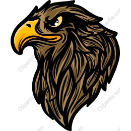 Fierce Eagle Head