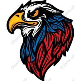 Majestic Eagle Head