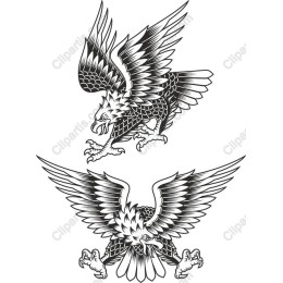 Majestic Eagle