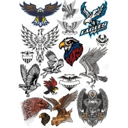 Eagle Collection: Bundle