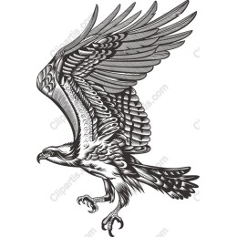 Majestic Hawk